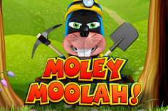 Moley Moolah