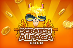 Scratch Alpaca Gold